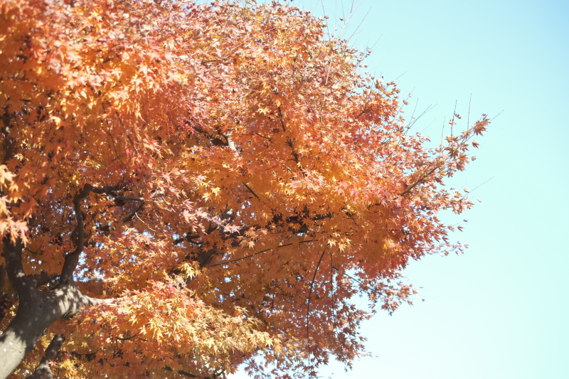 chiri-chiri_a0271251_02150021.jpg