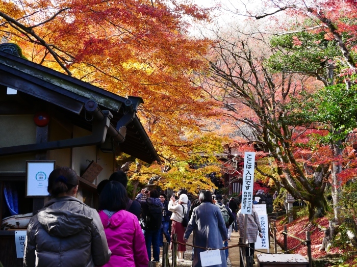 　　嵯峨・嵐山めぐり ６　常寂光寺（じょうじゃっこうじ）　終り　２０２３-１２-０４　００：００_b0093754_21572163.jpg