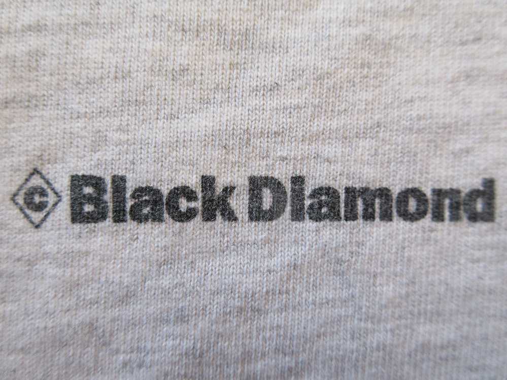 Black DiamondのCOBRA（アイスアックス）・ロンT_d0273756_17344369.jpg