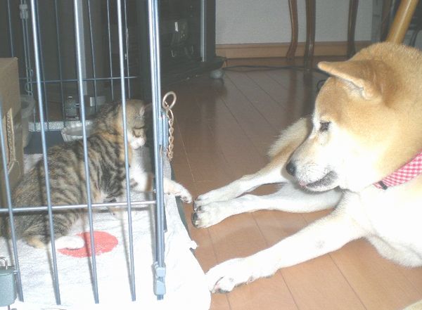 ’19,12,14(土)何もない日のこころちゃん劇場!_f0060461_10413454.jpg