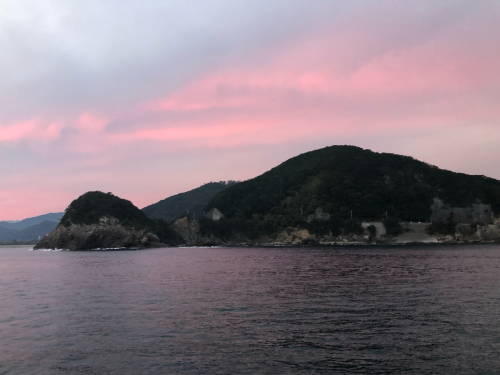 我は天に見放された 徳島へアオリイカを 虎次郎の盛春日記
