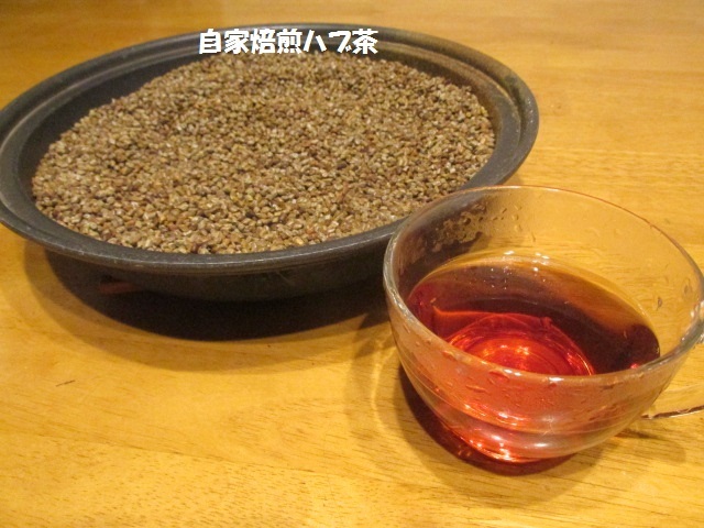 お茶とイモで ハラがいっぱいになる詩 １２月１４日 土 はれ トチノキの詩２