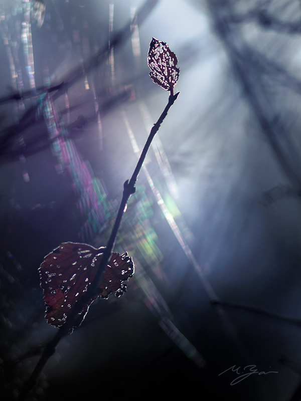 感謝_a0161380_11583002.jpg
