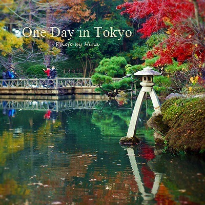One Day in Tokyo:　12月の紅葉_f0245680_12513599.jpg