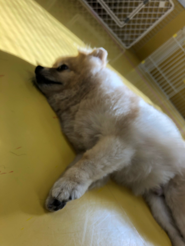 のんびり休憩中🌟_f0357682_12562466.jpg