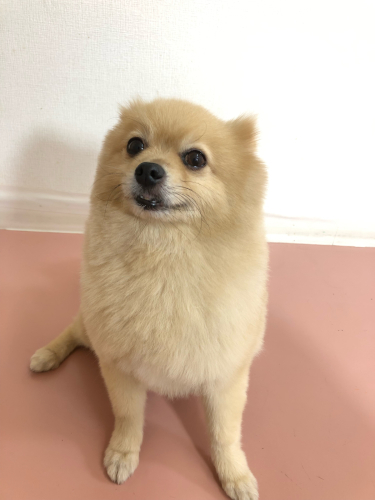 のんびり休憩中🌟_f0357682_12594035.jpg