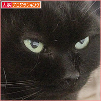我が家で一番かわいい猫_a0389088_19015560.jpg