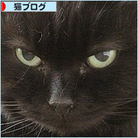 我が家で一番かわいい猫_a0389088_19015882.jpg
