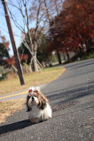 今日は久しぶりに「水元公園」に♪_c0090198_20145476.jpg