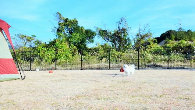 頑張ってみた結果_d0360206_00234520.jpg