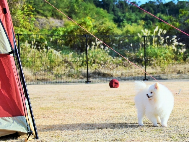 頑張ってみた結果_d0360206_00235006.jpg