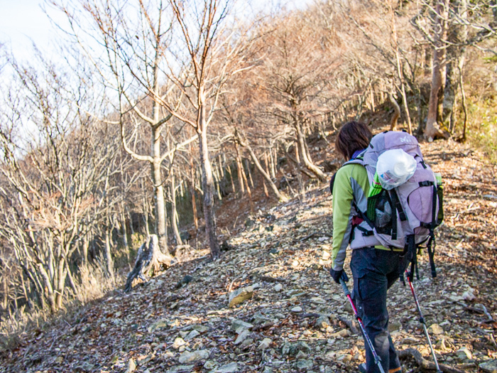 晩秋の尾根を辿る　竜口尾根・又剱山_b0244811_09582877.jpg