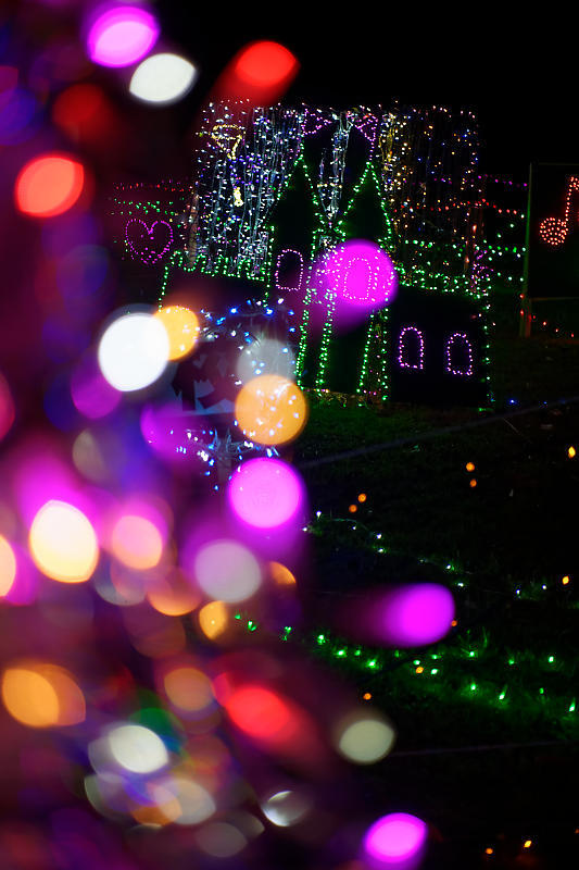 2019クリスマスイルミネーション@TWINKLE JOYO2019_f0032011_20331641.jpg