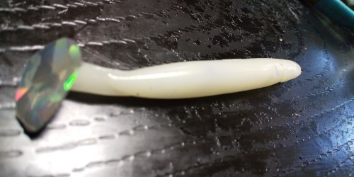 コレはオススメ シャッドテールワームを更に改良した 明石の釣り ブログ 明石の釣り ブログ