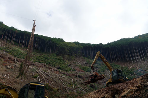 4年生特別授業「紀州材産地見学会」_b0186729_00344753.jpg