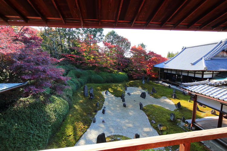 紅葉の京都2019 －東福寺光明院で心の大掃除（前編）－_b0169330_8534430.jpg