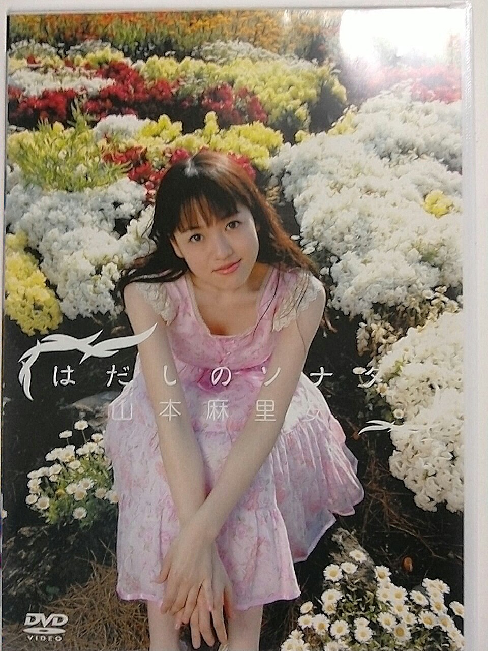 山本麻里安 はだしのソナタ 志津香blog Easy Proud