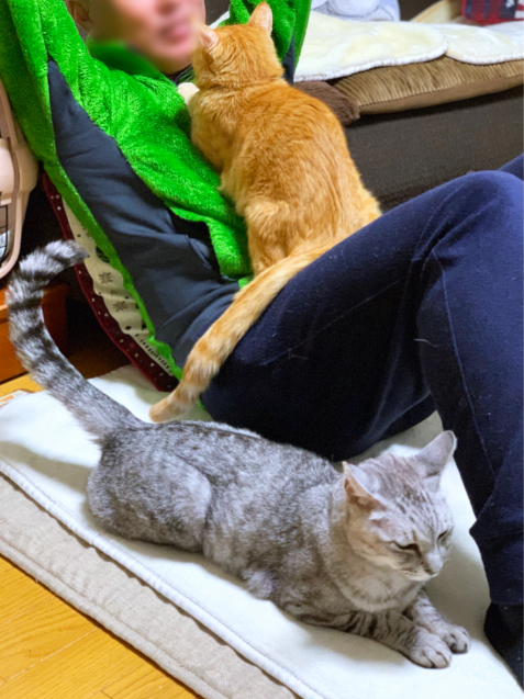 もじもじもじもじ。_d0355333_21221332.jpg