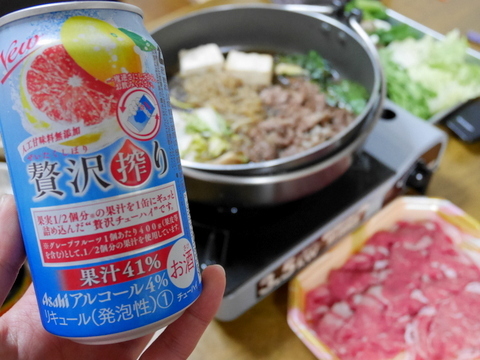日本で食べたものいろいろ_f0210340_00392621.jpg