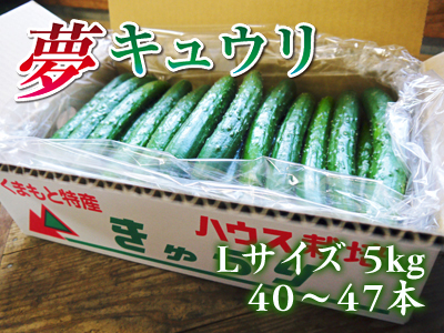 令和元年度の『夢キュウリ』完売御礼!_a0254656_17514761.jpg