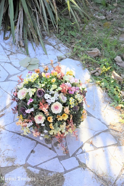 中央分離帯のポールって柔らかいのね この植物をお買い2 中央分離帯のポールって柔らかいのね この植物をお買い2