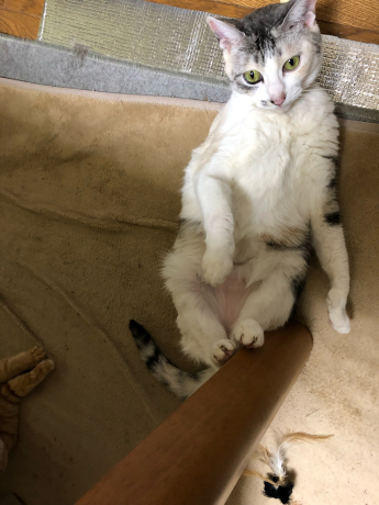 こんなの梅ちゃんじゃない!!_e0355177_16420766.jpg
