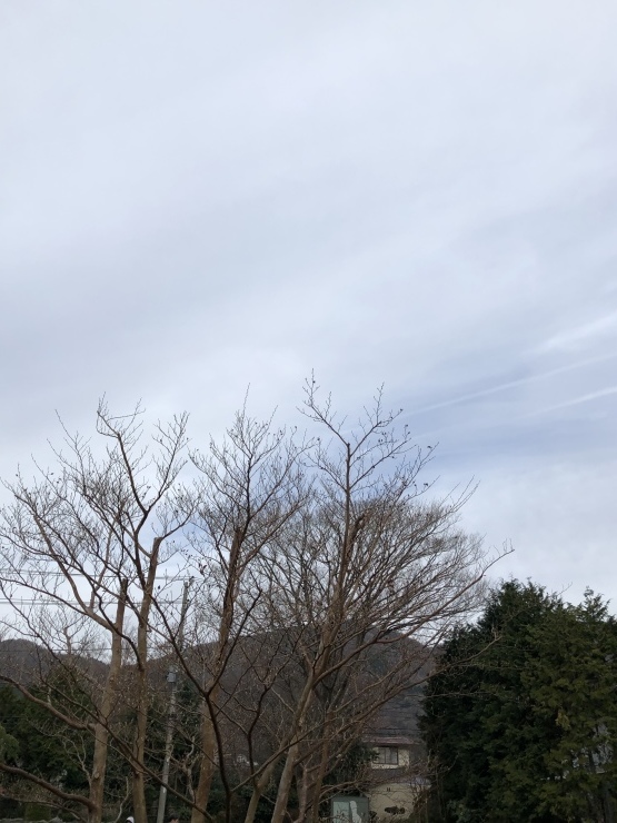 2019年１２月１５日　小塚山_b0098584_18283887.jpeg