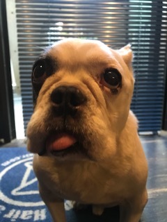 再び久しぶりのBoo._d0096499_13564010.jpg
