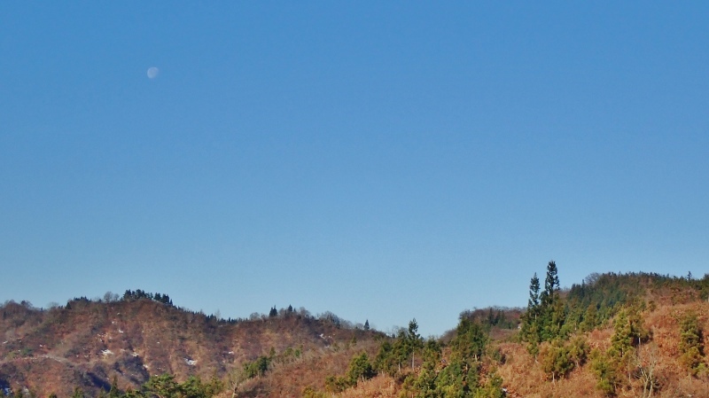 今朝も濃い川霧の雲海が見られました_c0336902_20355325.jpg