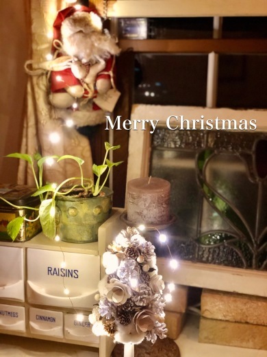 我が家のささやかなクリスマス🎄_a0213806_03085162.jpeg