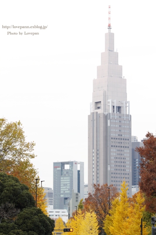 銀杏のある風景 in Tokyo_c0136926_07272025.jpeg
