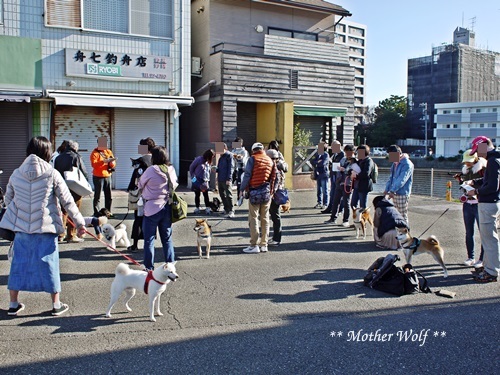 第26回マザーウルフ遠足 江ノ島レポート_e0191026_15495382.jpg