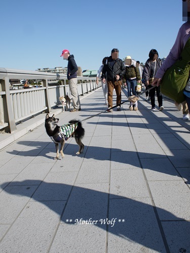 第26回マザーウルフ遠足 江ノ島レポート_e0191026_18300412.jpg
