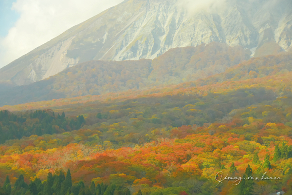 10月の山活⑳**大山、寄り道あれこれ_b0197639_17075943.jpg