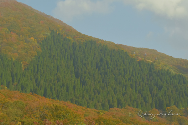 10月の山活⑳**大山、寄り道あれこれ_b0197639_17172254.jpg