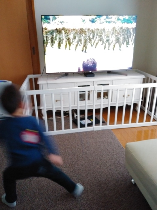 朝から自衛隊体操。_d0164343_08595213.jpg