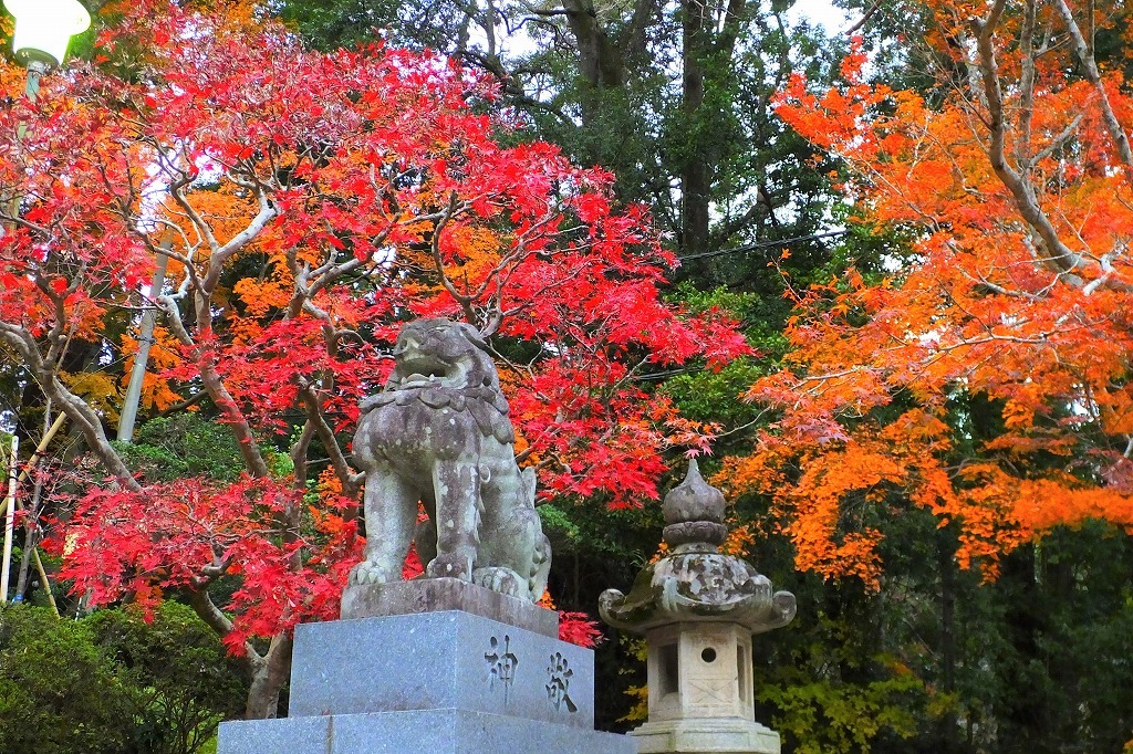 香取神宮で紅葉を 2 境内へ ぶらり散歩 四季折々フォト日記 香取神宮で紅葉を 2 境内へ ぶらり散歩 四季折々フォト日記