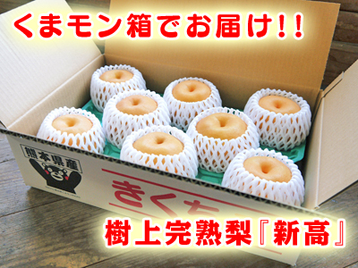 熊本梨 本藤果樹園 令和2年度の梨作りスタート!匠の選定作業が始まりました!(前編)_a0254656_16451905.jpg