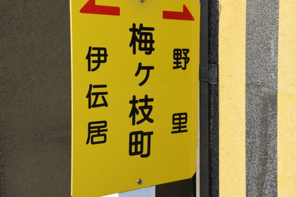 姫路の白線と花街_f0347663_16400913.jpg