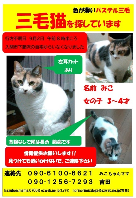 行方不明の みこちゃん 捜索継続中です 19 12 15 きよせ猫耳の会 旧 飼い主のいない猫を考える会