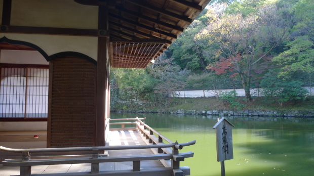 和歌山城#3、紅葉渓庭園_d0193569_08052539.jpg