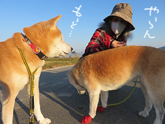あと半月ですな_b0057675_11341992.jpg