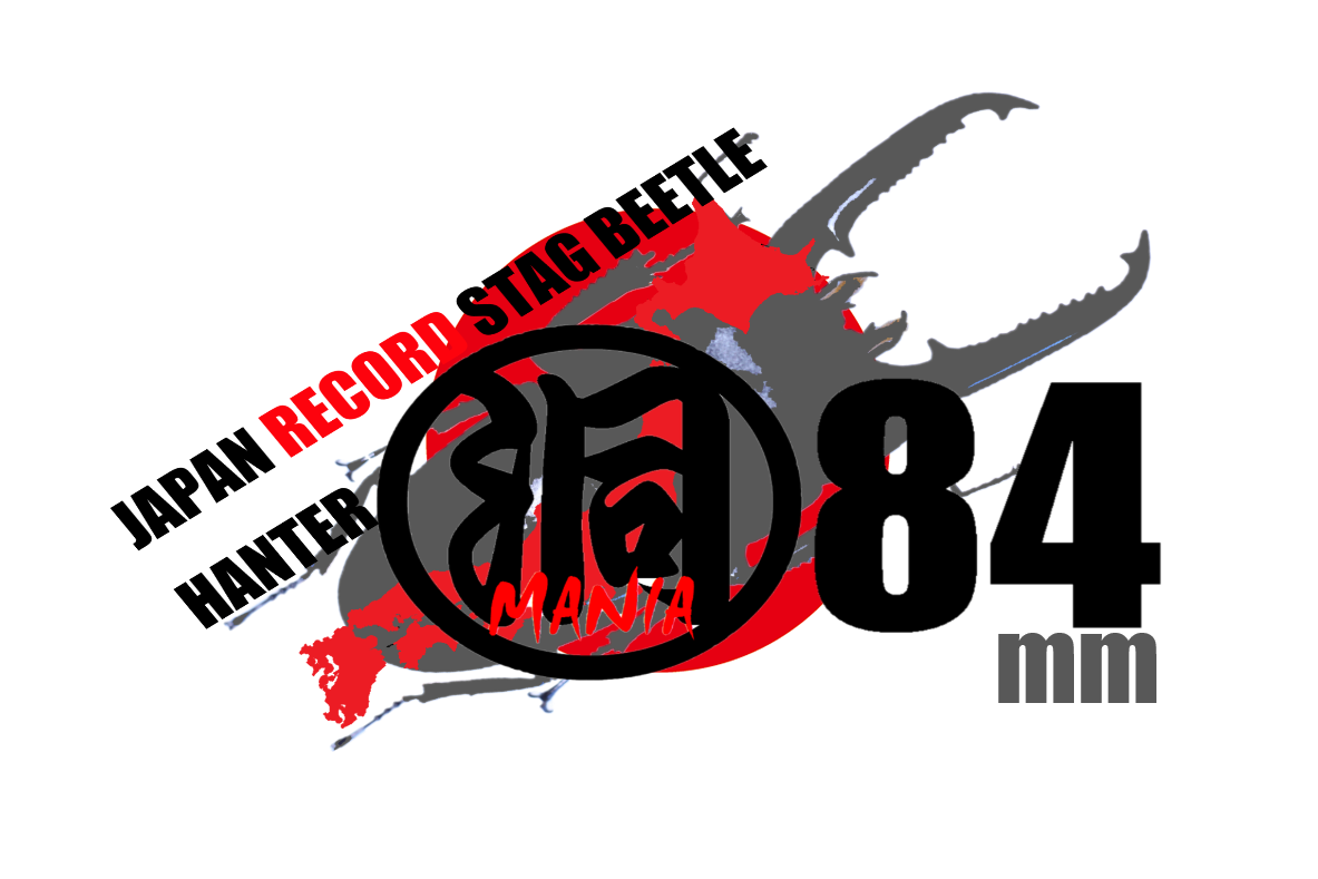 クワガタ採集＆飼育好き集まれ～！くわがた散歩道2019忘年会_f0183484_01412246.png