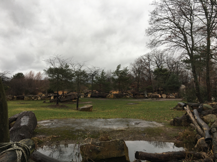 子連れライプツィヒ旅行 ライプツィヒ動物園 毎日ベルリン 子連れライプツィヒ旅行 ライプツィヒ動物園 毎日ベルリン