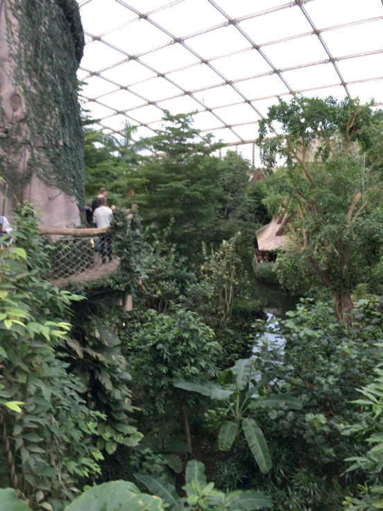 子連れライプツィヒ旅行 ライプツィヒ動物園 毎日ベルリン 子連れライプツィヒ旅行 ライプツィヒ動物園 毎日ベルリン