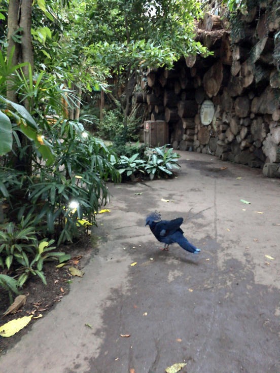 子連れライプツィヒ旅行 ライプツィヒ動物園 毎日ベルリン 子連れライプツィヒ旅行 ライプツィヒ動物園 毎日ベルリン