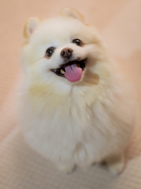 胆泥症の治療_d0360206_00290699.jpg