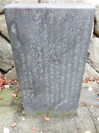護国寺の建築・その3 仰木魯堂の茶室_c0195909_09403415.jpg