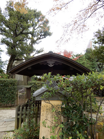 護国寺の建築・その3 仰木魯堂の茶室_c0195909_09413398.jpg