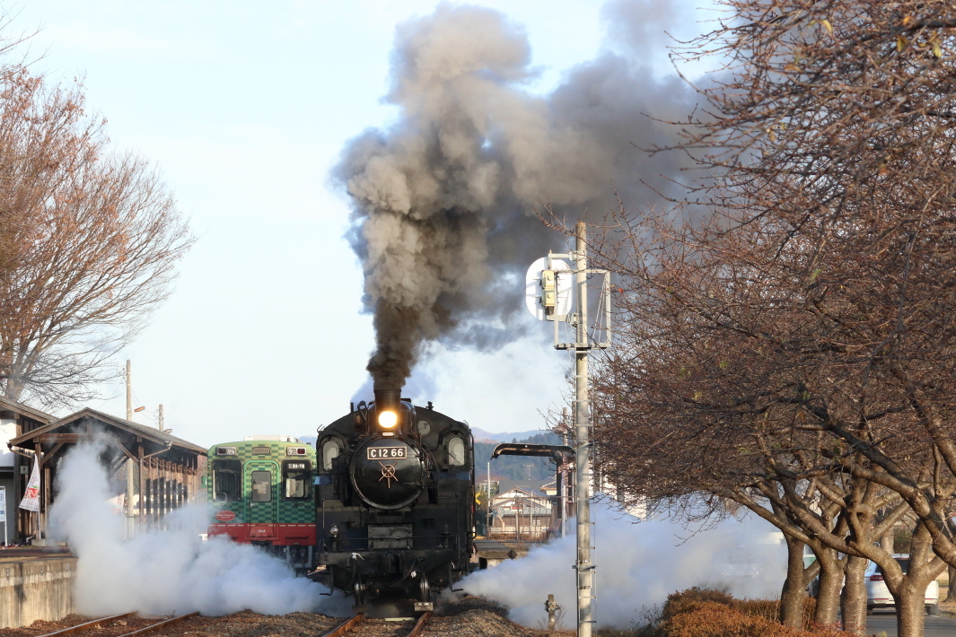 霜降りの煙高らかに - 2019年初冬・真岡鉄道 -_b0190710_22225044.jpg
